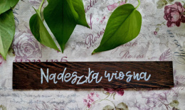Deseczka wiosenna/wielkanocna